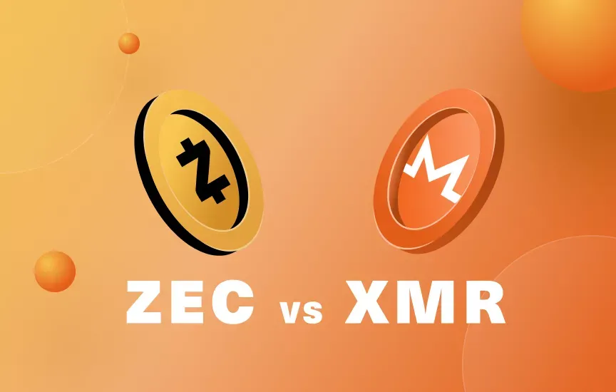 Will ZCASH flip MONERO before December?